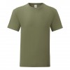 Clssic Olive 