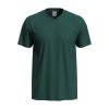 Bottle Green 