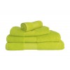 Citrus Green 