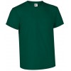 Bottle Green 