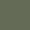 Clssic Olive 